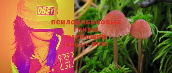 герыч Кулебаки